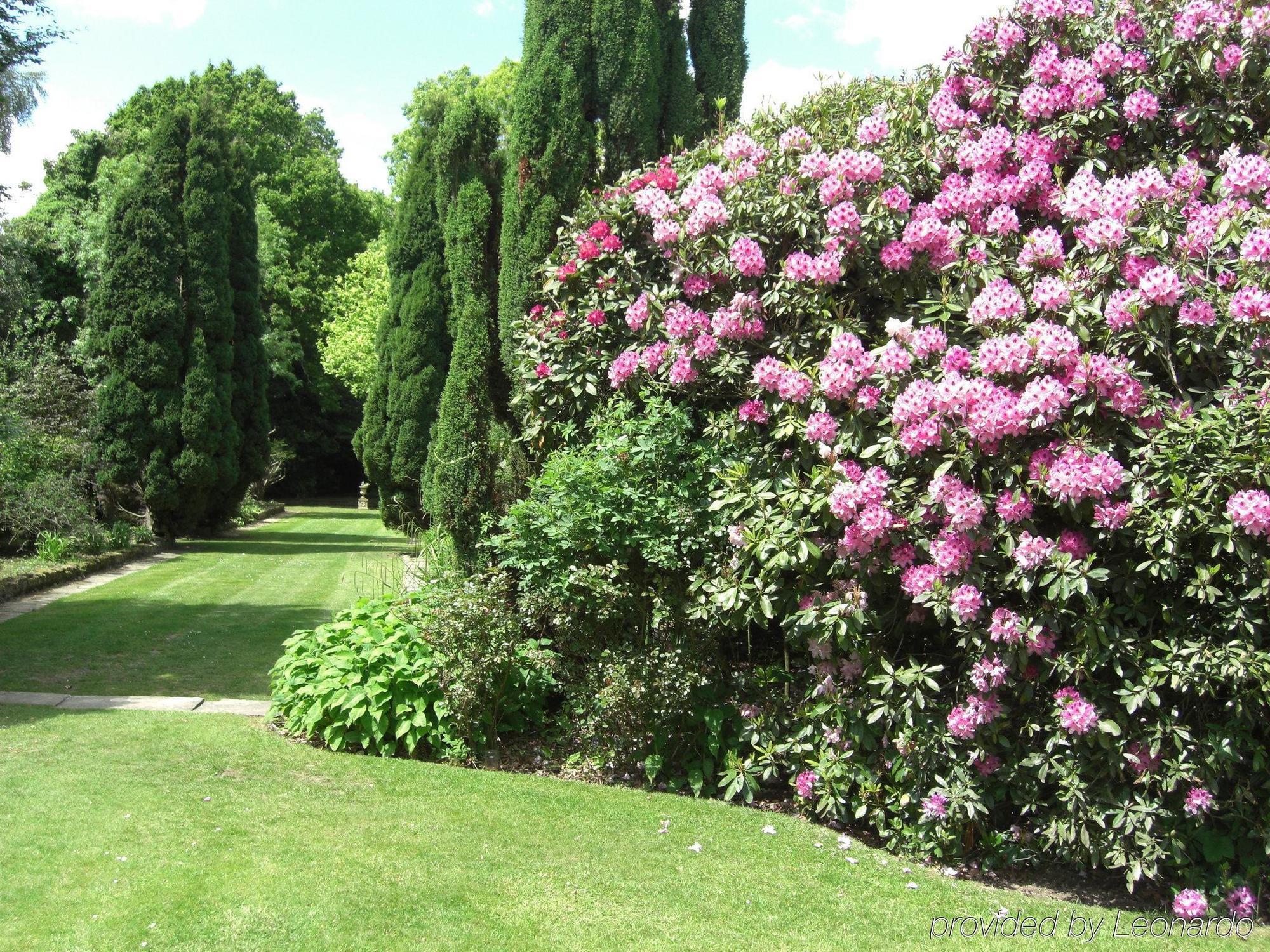 Cisswood House Hotell Horsham Fasiliteter bilde